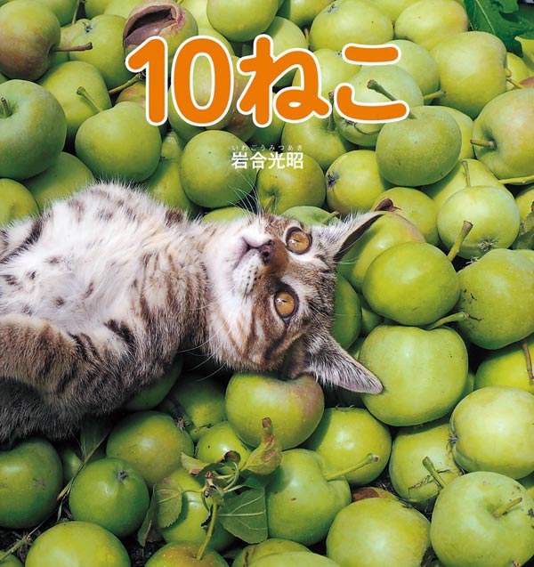 えほん「10ねこ」　幼年向け